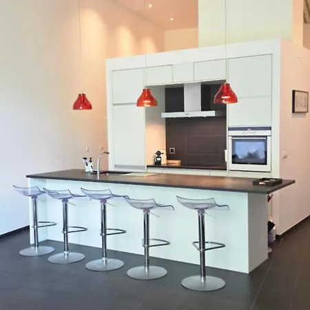 Magnifique Loft Avec Terrasse -jardin Daire *