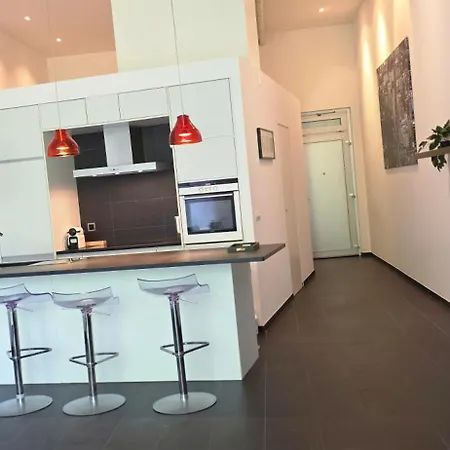 Daire Magnifique Loft Avec Terrasse -jardin *